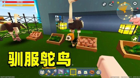 迷你世界怎么坐上鸵鸟