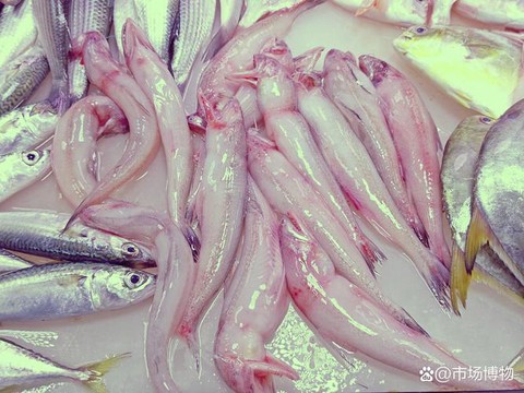 九阴真经新鲜的鱼换什么[图1]