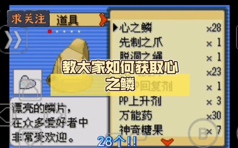 口袋妖怪怎么回忆技能[图2]