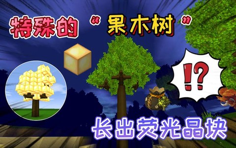 迷你世界果树怎么长大[图2]