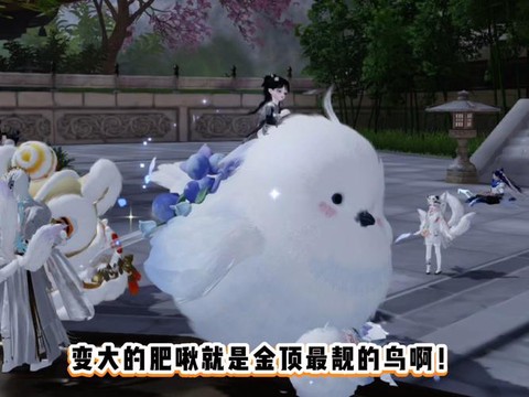 剑网3奇趣坐骑怎么用