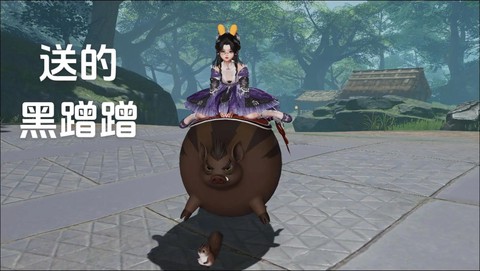 剑网3奇趣坐骑怎么用[图2]