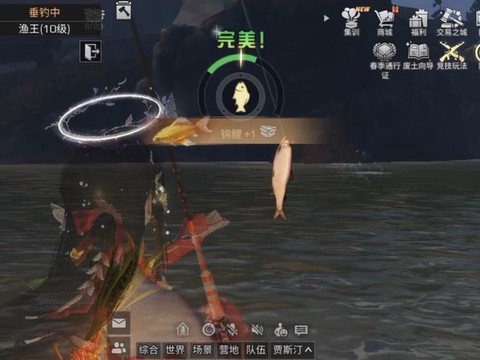 明日之后锦鲤怎么钓