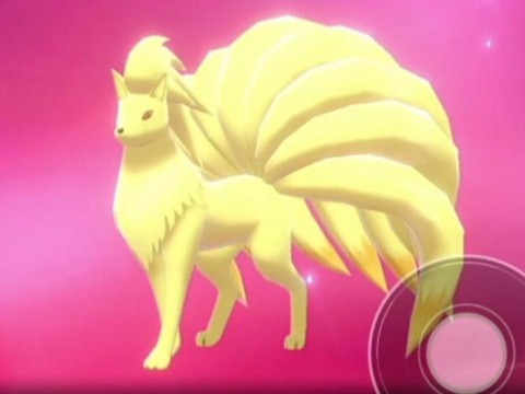 口袋妖怪日月六尾怎么进化