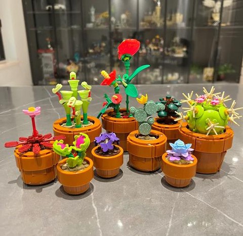 迷你世界仙人掌怎么用