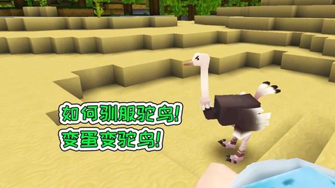 鸵鸟在迷你世界吃什么[图2]