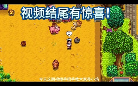 怎么养鸡星露谷物语