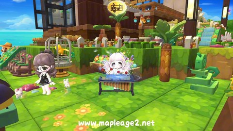 冒险岛2什么乐器好[图2]