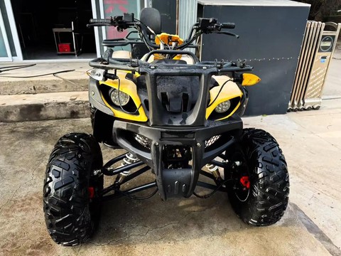 天天酷跑沙滩车配什么