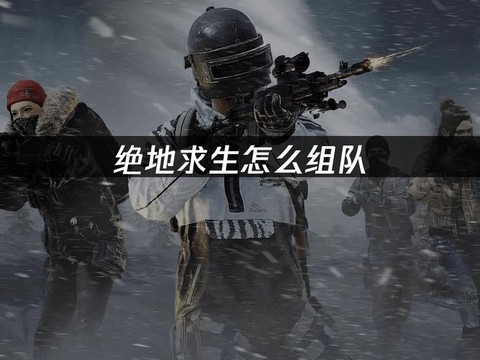绝地求生2怎么组队