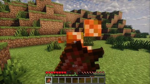 我的世界手机版腐肉有什么用