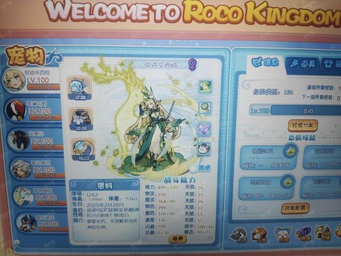 洛克王国辅助什么好