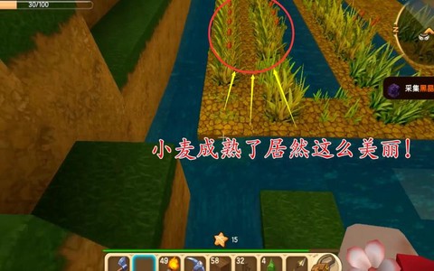 迷你世界麦子怎么得