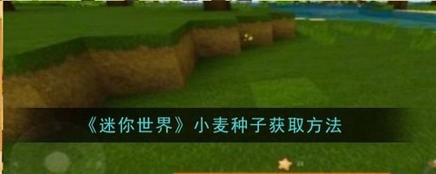 迷你世界麦子怎么得[图1]