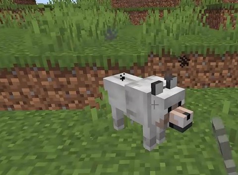 我的世界驴怎么驯服