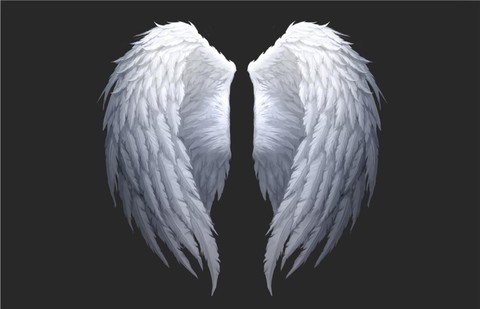 永恒纪元翅膀怎么获得