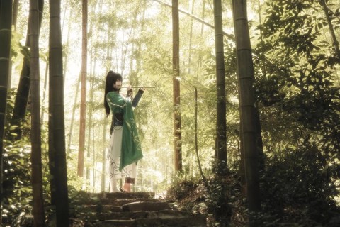 阴阳师万年竹怎么获得