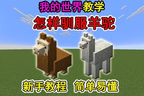 我的世界如何骑羊驼[图1]
