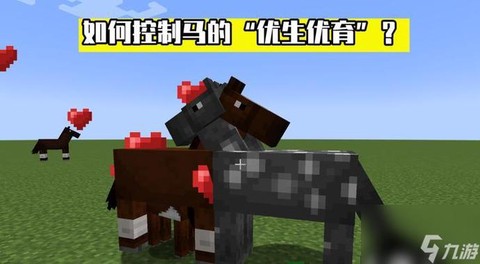 我的世界怎么让马变色