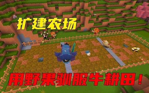 迷你世界野果怎么获得