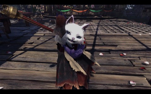 怪物猎人ol选什么猫[图2]