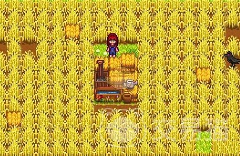 星露谷物语干草怎么取