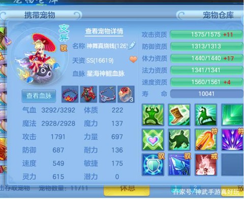 神武30带什么宝宝