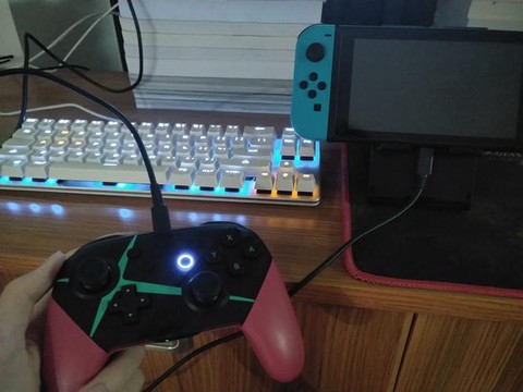 打守望先锋用什么手柄