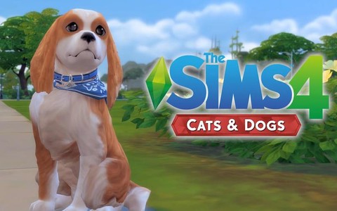 模拟人生4狗怕什么